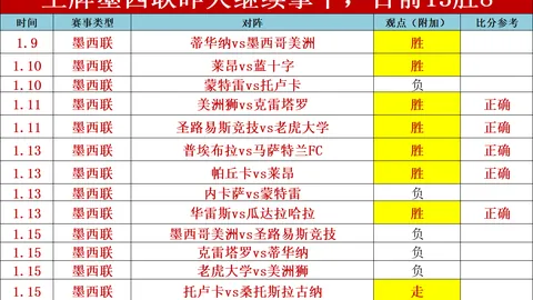 紐卡斯爾斥資2250萬英鎊洽購埃弗頓後防中堅迪涅