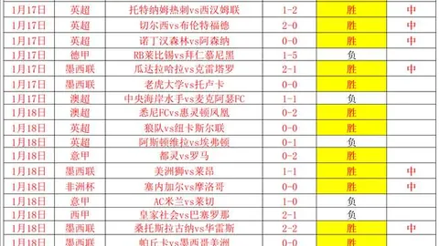 維多維奇20歲未與拜仁續約，孔帕尼續約情況不明